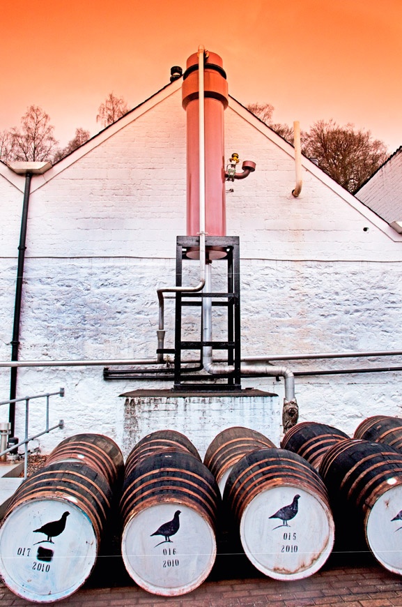 Иллюстрация к книге — Путешествие виски. Легенды Шотландии [i_019.jpg]