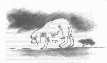 Иллюстрация к книге — Чудаки и зануды [i_008.jpg]