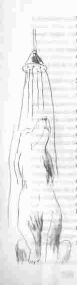 Иллюстрация к книге — Чудаки и зануды [i_022.jpg]