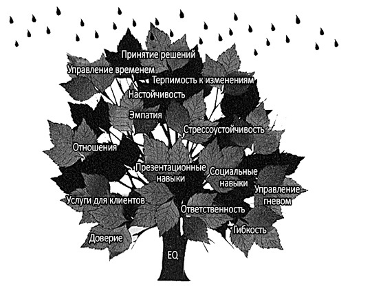 Иллюстрация к книге — Эмоциональный интеллект 2.0 [i_004.jpg]