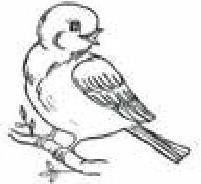 Иллюстрация к книге — Сказки Белого воробья [b00000026.jpg]