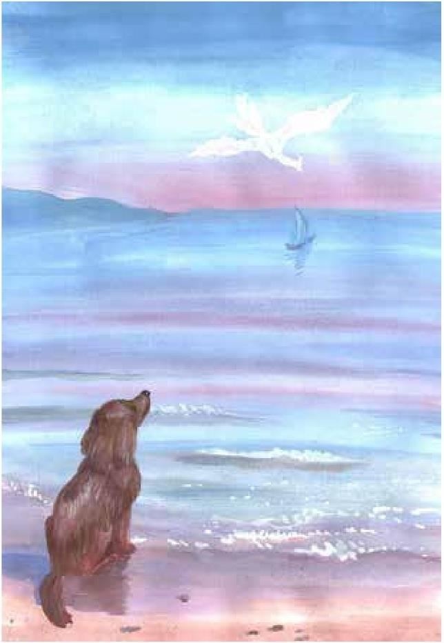 Иллюстрация к книге — Сказки Белого воробья [b00000800.jpg]