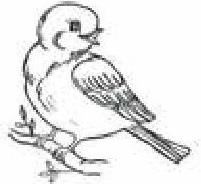 Иллюстрация к книге — Сказки Белого воробья [b00000943.jpg]