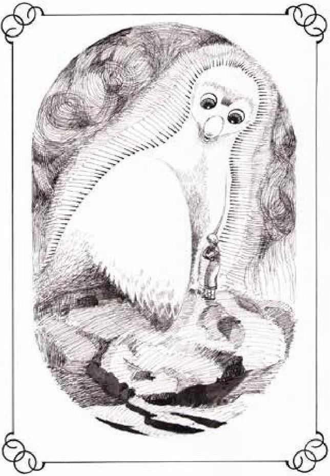 Иллюстрация к книге — Сказки Белого воробья [b00001205.jpg]