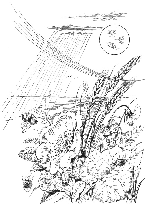 Иллюстрация к книге — Небесные сказки [i_003.jpg]