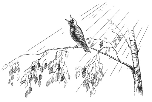 Иллюстрация к книге — Небесные сказки [i_005.jpg]