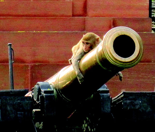 Иллюстрация к книге — Индия. 33 незабываемые встречи [vkladka_1_page_06_image_0001.jpg]