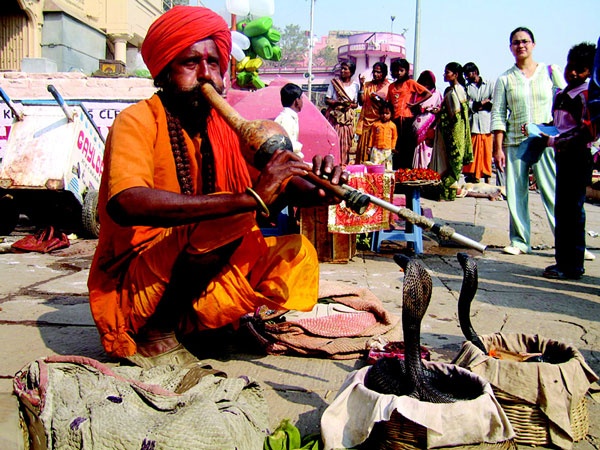 Иллюстрация к книге — Индия. 33 незабываемые встречи [vkladka_2_page_5_image_0001.jpg]