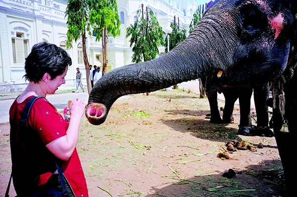 Иллюстрация к книге — Индия. 33 незабываемые встречи [vkladka_2_page_6_image_0001.jpg]