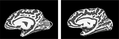 Иллюстрация к книге — НейроЛогика. Чем объясняются странные поступки, которые мы совершаем неожиданно для себя [i_008.jpg]