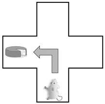 Иллюстрация к книге — НейроЛогика. Чем объясняются странные поступки, которые мы совершаем неожиданно для себя [i_013.jpg]