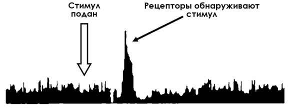 Иллюстрация к книге — НейроЛогика. Чем объясняются странные поступки, которые мы совершаем неожиданно для себя [i_027.jpg]