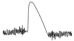 Иллюстрация к книге — НейроЛогика. Чем объясняются странные поступки, которые мы совершаем неожиданно для себя [i_029.jpg]