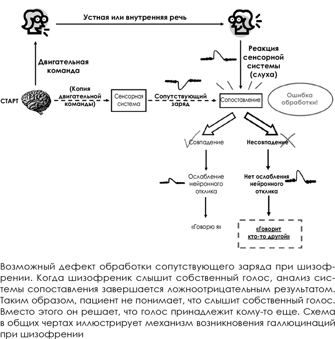 Иллюстрация к книге — НейроЛогика. Чем объясняются странные поступки, которые мы совершаем неожиданно для себя [i_033.jpg]
