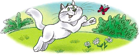 Иллюстрация к книге — Путешествие на айсберге [i_067.jpg]