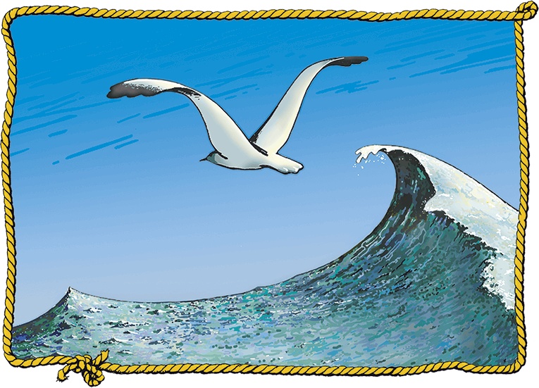 Иллюстрация к книге — Пираты Кошачьего моря. Книга 2. Остров забытых сокровищ [i_011.jpg]