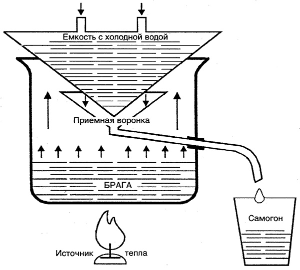 Иллюстрация к книге — Домашнее вино, наливка, самогон и другие алкогольные напитки. Лучшие рецепты [block_001160_vinodelie_page_025_image_0002.jpg]