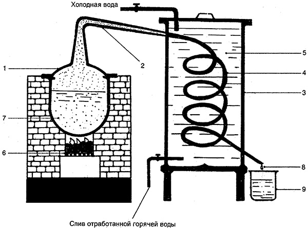 Иллюстрация к книге — Домашнее вино, наливка, самогон и другие алкогольные напитки. Лучшие рецепты [block_001160_vinodelie_page_026_image_0002.jpg]