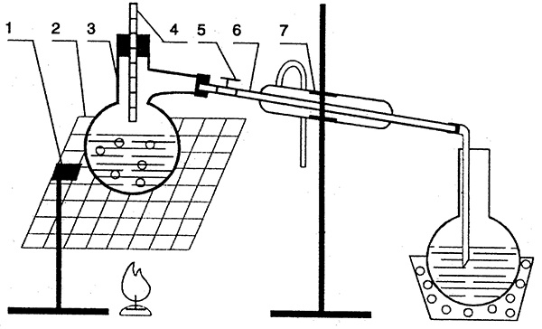 Иллюстрация к книге — Домашнее вино, наливка, самогон и другие алкогольные напитки. Лучшие рецепты [block_001160_vinodelie_page_029_image_0003.jpg]