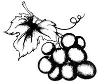 Иллюстрация к книге — Домашнее вино, наливка, самогон и другие алкогольные напитки. Лучшие рецепты [block_001160_vinodelie_page_154_image_0003.jpg]