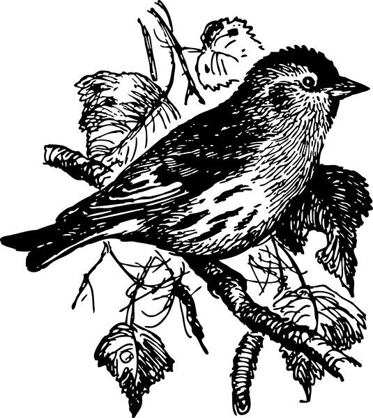 Иллюстрация к книге — Мильтон и Булька [_012.jpg]