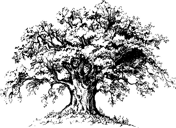 Иллюстрация к книге — Мильтон и Булька [_0161.jpg]