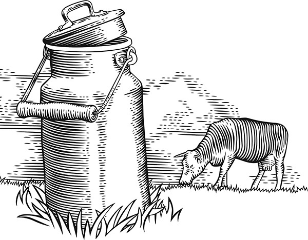 Иллюстрация к книге — Мильтон и Булька [_020.jpg]