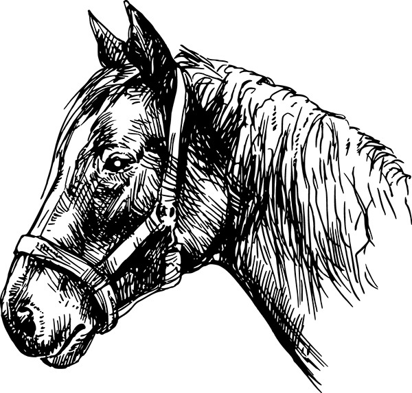 Иллюстрация к книге — Мильтон и Булька [_025.jpg]