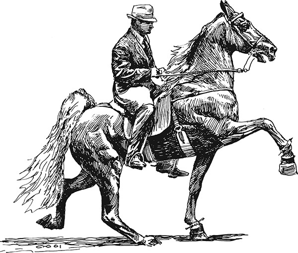 Иллюстрация к книге — Мильтон и Булька [_028.jpg]