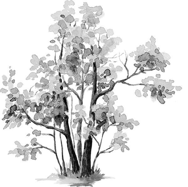 Иллюстрация к книге — Мильтон и Булька [_042.jpg]