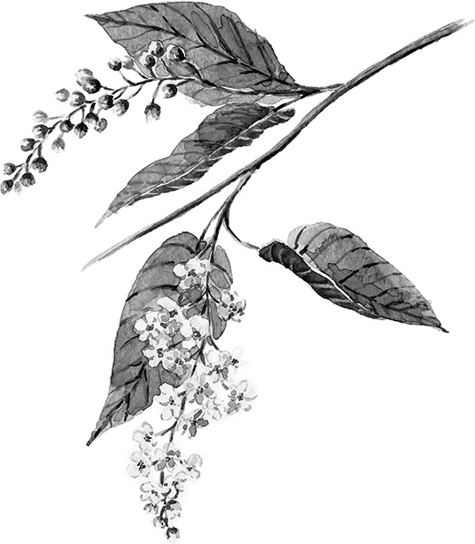 Иллюстрация к книге — Мильтон и Булька [_044.jpg]