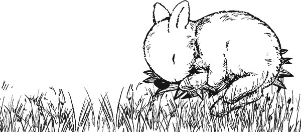 Иллюстрация к книге — Мильтон и Булька [_059.jpg]