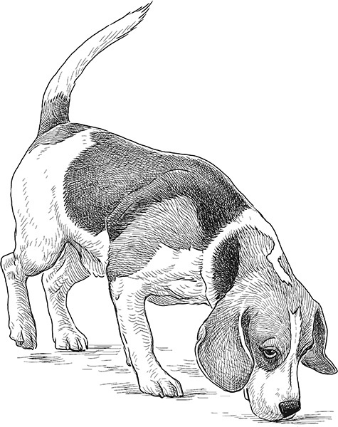 Иллюстрация к книге — Мильтон и Булька [_064.jpg]