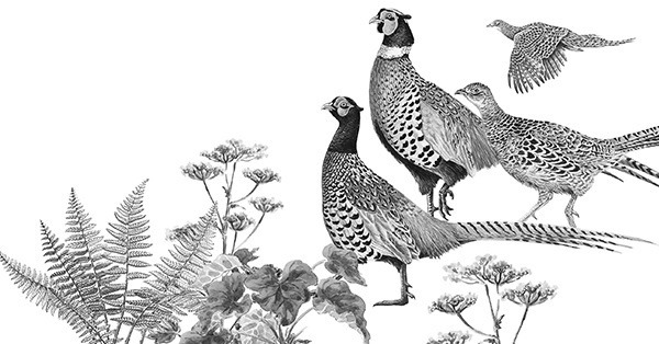 Иллюстрация к книге — Мильтон и Булька [_069.jpg]