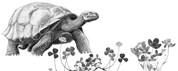 Иллюстрация к книге — Мильтон и Булька [_074.jpg]