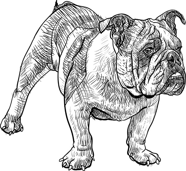 Иллюстрация к книге — Мильтон и Булька [_086.jpg]