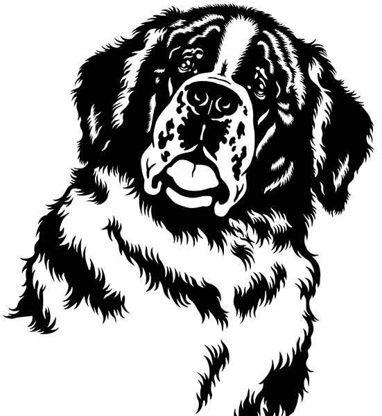 Иллюстрация к книге — Мильтон и Булька [_090.jpg]