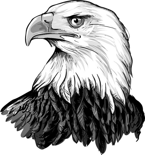 Иллюстрация к книге — Мильтон и Булька [_091.jpg]