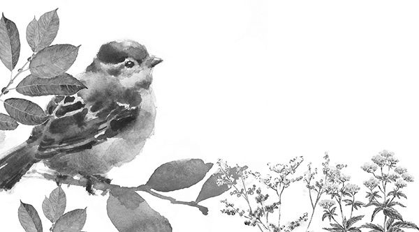 Иллюстрация к книге — Мильтон и Булька [_094.jpg]