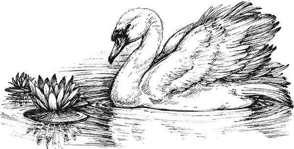 Иллюстрация к книге — Мильтон и Булька [_097.jpg]