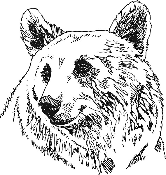 Иллюстрация к книге — Мильтон и Булька [_109.jpg]