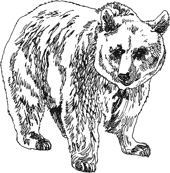 Иллюстрация к книге — Мильтон и Булька [_112.jpg]