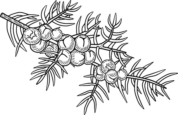 Иллюстрация к книге — Мильтон и Булька [_113.jpg]