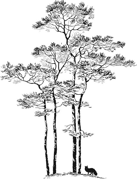 Иллюстрация к книге — Мильтон и Булька [_118.jpg]