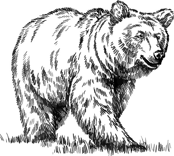 Иллюстрация к книге — Мильтон и Булька [_122.jpg]