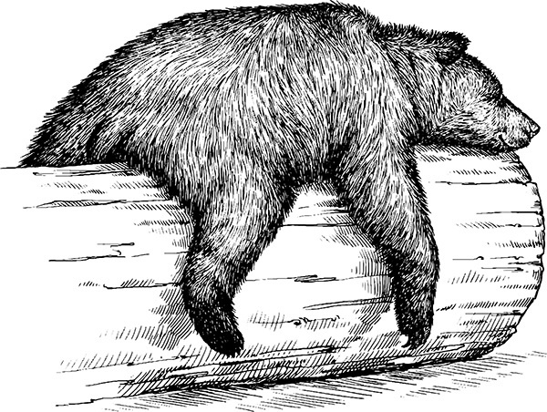 Иллюстрация к книге — Мильтон и Булька [_126.jpg]