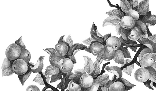 Иллюстрация к книге — Мильтон и Булька [_127.jpg]