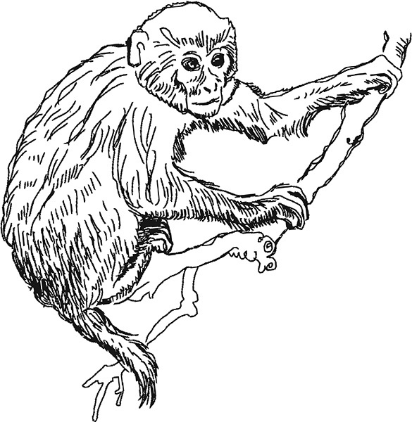 Иллюстрация к книге — Мильтон и Булька [_128.jpg]