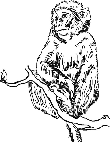 Иллюстрация к книге — Мильтон и Булька [_129.jpg]