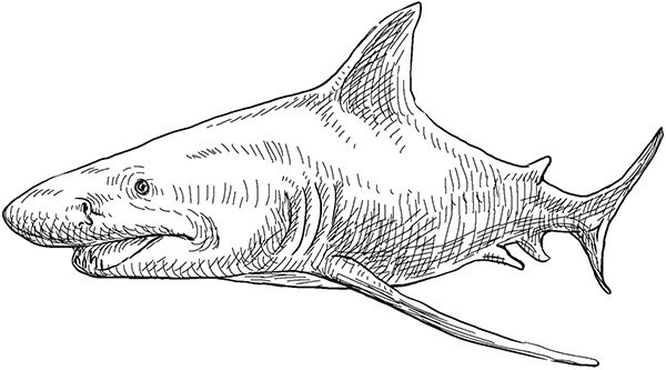 Иллюстрация к книге — Мильтон и Булька [_133.jpg]